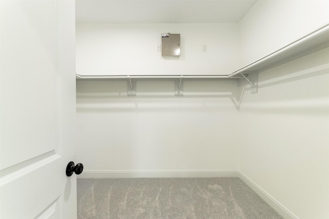 spacious closet featuring carpet flooring