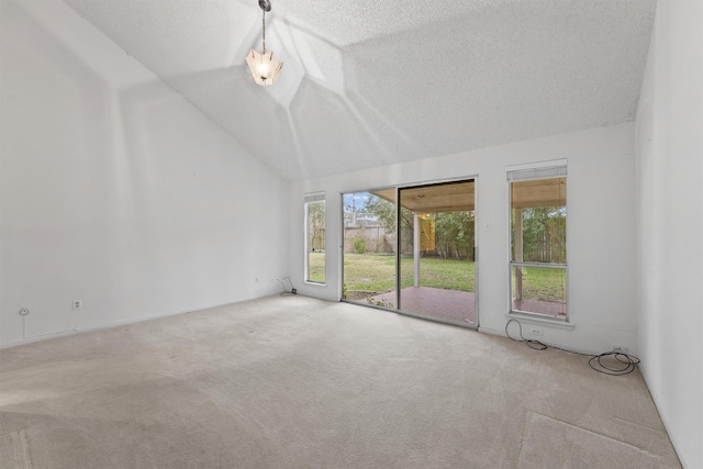 spare room featuring lofted ceiling, carpet flooring, and a textured ceiling