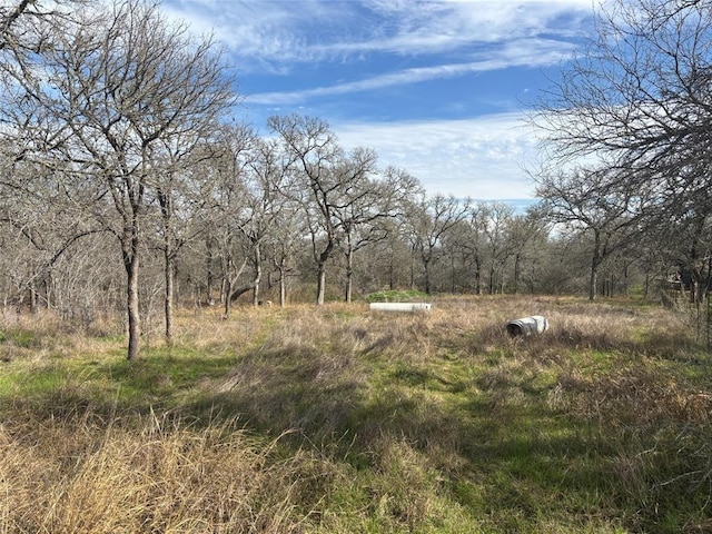 245 Elm Forest Loop, Cedar Creek TX, 78612 land for sale