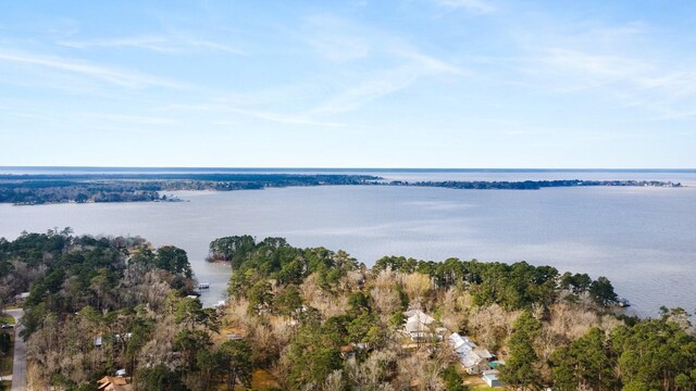 LOT46 Sunset Dr, Livingston, TX 77351 - photo 11
