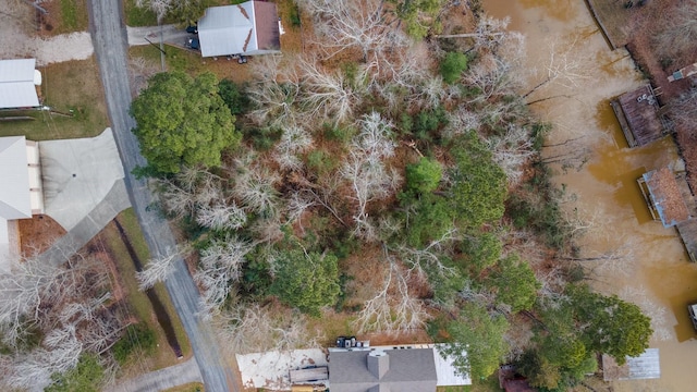 LOT46 Sunset Dr, Livingston, TX 77351 - photo 6