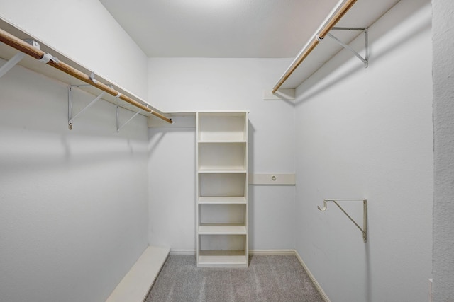 spacious closet with carpet