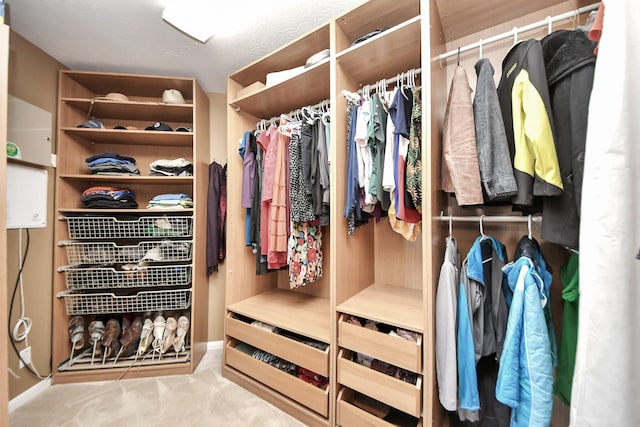 spacious closet with light colored carpet