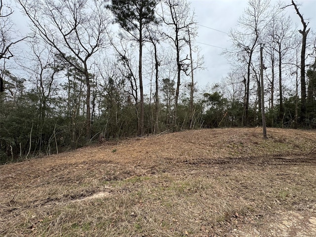 TBD Wildwood Harbor Cir, Onalaska TX, 77360 land for sale