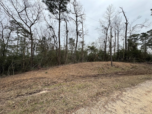 Listing photo 3 for TBD Wildwood Harbor Cir, Onalaska TX 77360