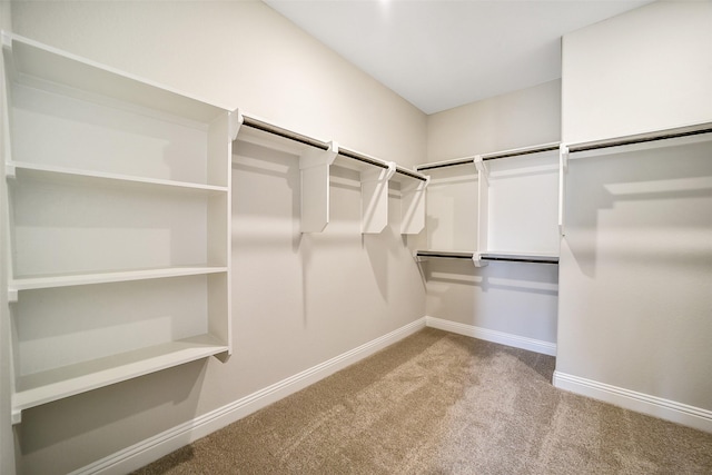 16319 Placid Stream St, Conroe, TX 77302 - walk in closet with carpet floors