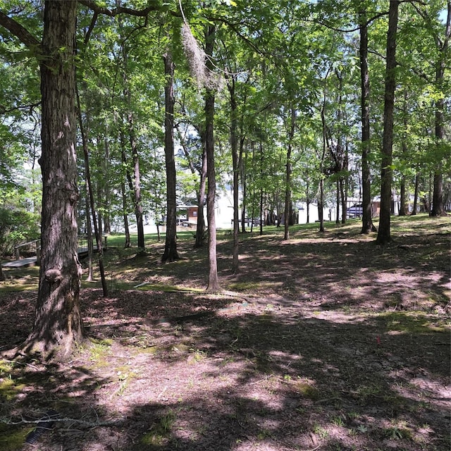 view of local wilderness