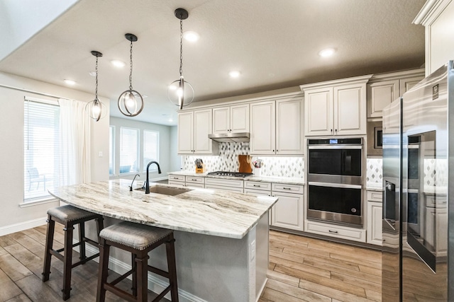 kitchen with stainless steel appliances, backsplash, light wood-style flooring, a sink, and under cabinet range hood