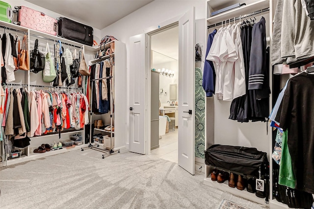 spacious closet with carpet