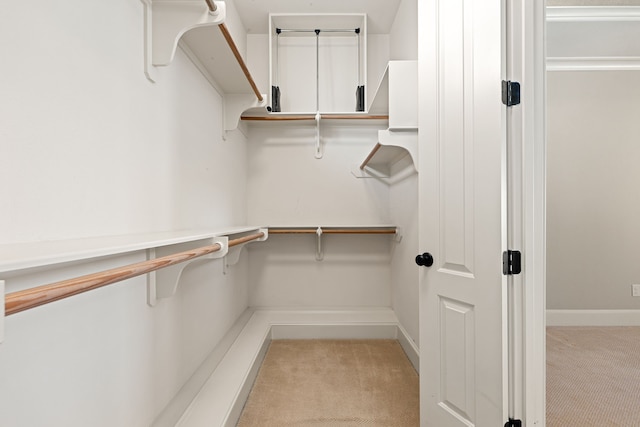 spacious closet with carpet floors