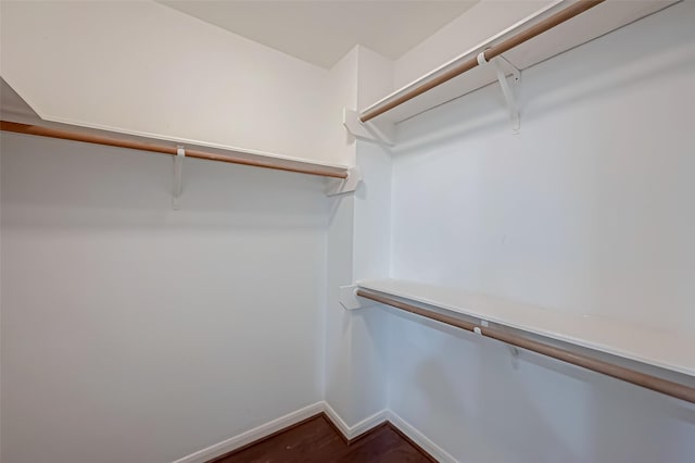 walk in closet with dark wood-type flooring