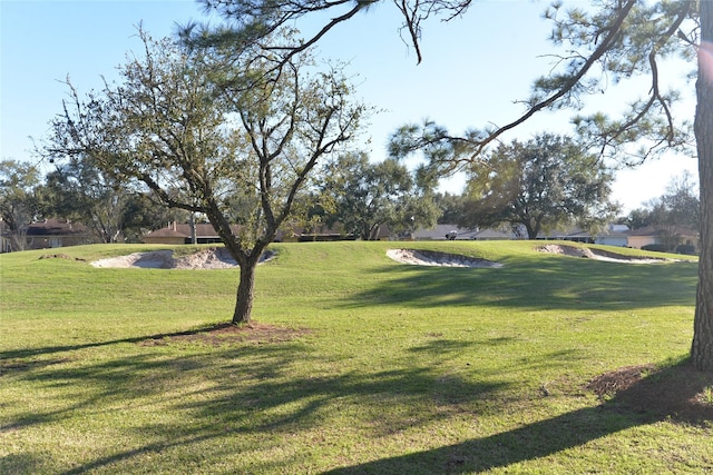 view of property's community featuring a yard
