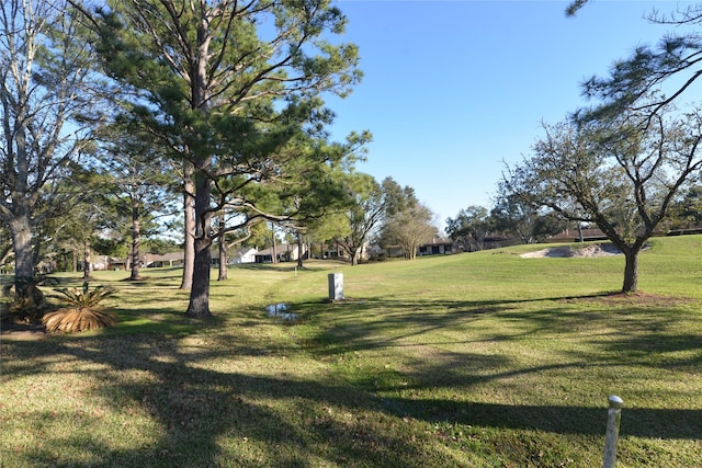 surrounding community featuring a lawn