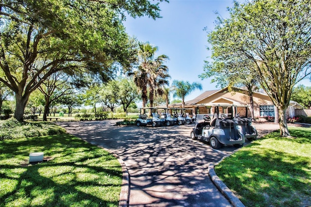 surrounding community with a lawn
