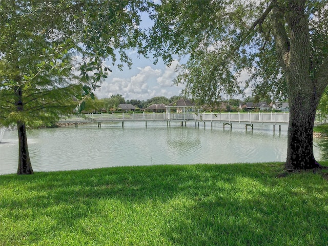 water view
