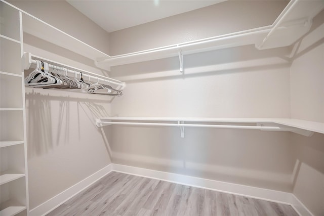 spacious closet featuring light wood-type flooring