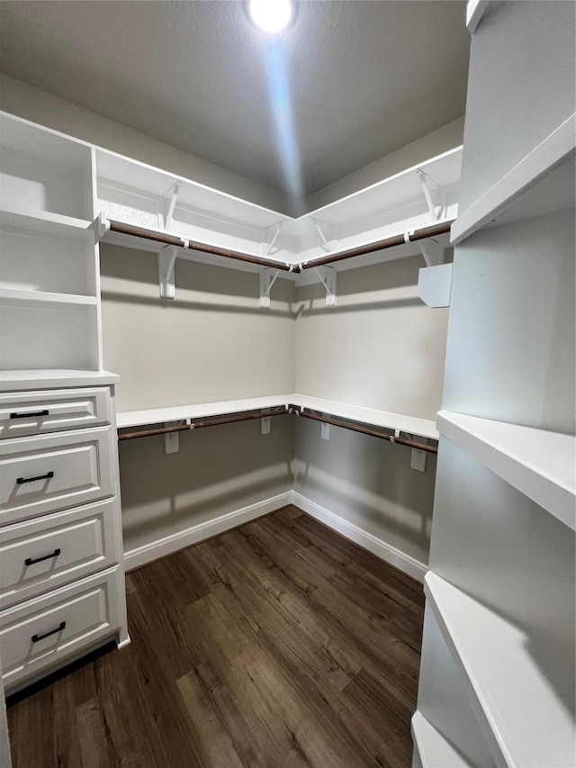 spacious closet with dark wood finished floors