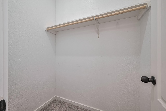 spacious closet with carpet flooring