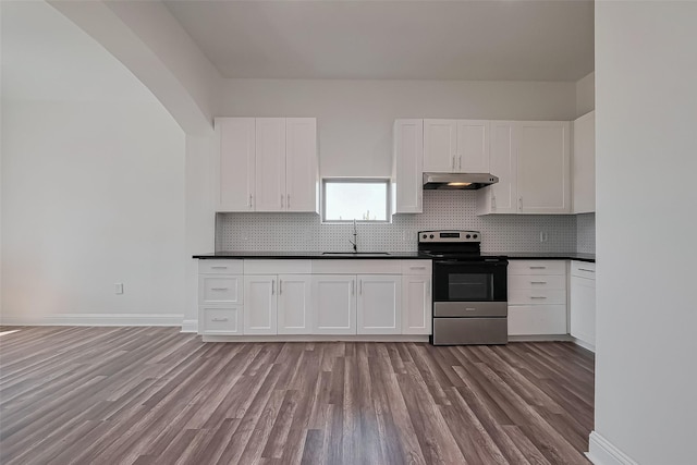 kitchen featuring light wood-style floors, stainless steel range with electric stovetop, under cabinet range hood, a sink, and dark countertops