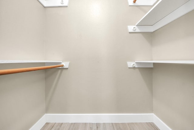 spacious closet featuring wood finished floors