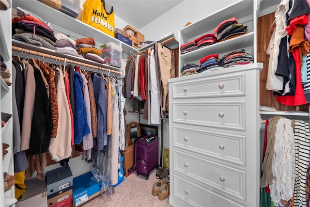 view of walk in closet