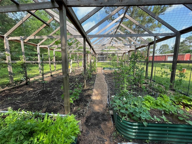 view of yard with a vegetable garden