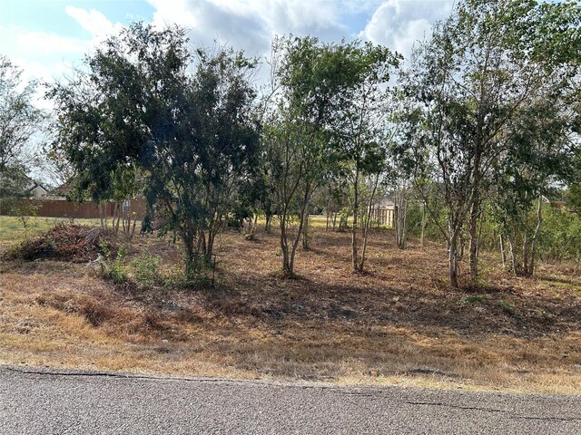 422 Texas Ave, Arcola, TX 77583 - photo 3