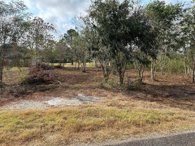 422 Texas Ave, Arcola, TX 77583 - photo 6