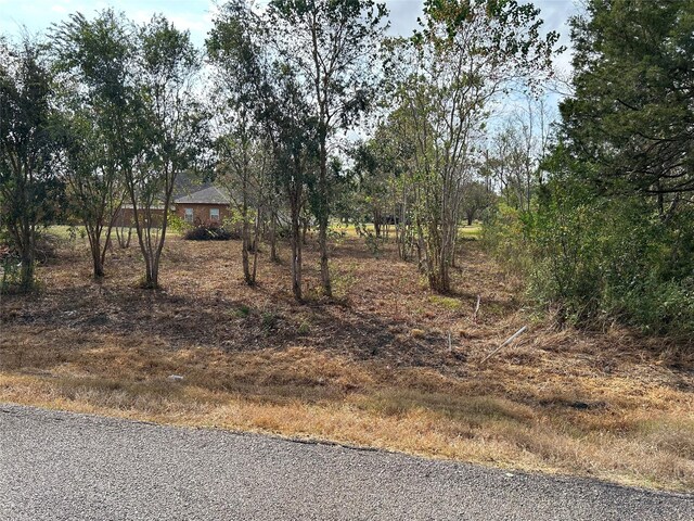 422 Texas Ave, Arcola, TX 77583 - photo 7