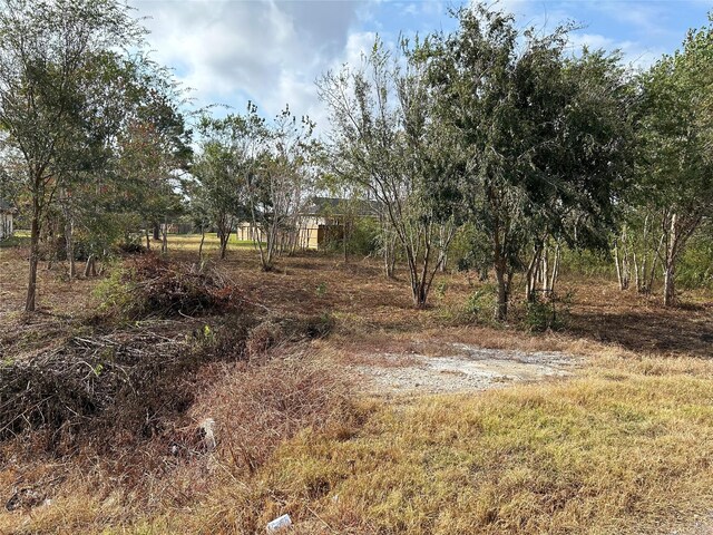 422 Texas Ave, Arcola, TX 77583 - photo 8