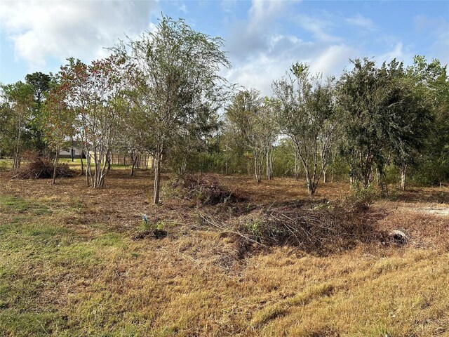 422 Texas Ave, Arcola, TX 77583 - photo 9