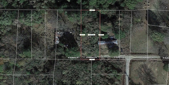 Listing photo 3 for LOT12 W Mulberry St, AR 71638