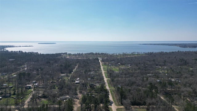 Listing photo 3 for TBD Mangum Rd, Livingston TX 77351