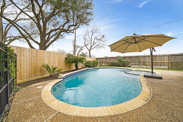 view of swimming pool featuring a fenced in pool, a fenced backyard, and a patio