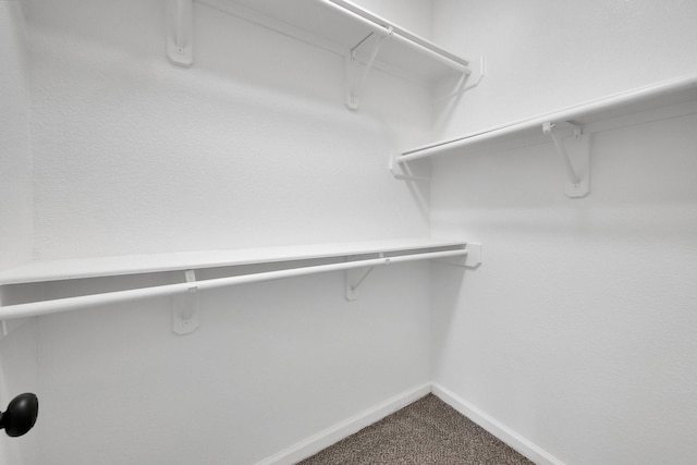 walk in closet featuring carpet flooring