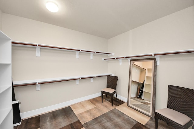 spacious closet featuring light wood-style floors