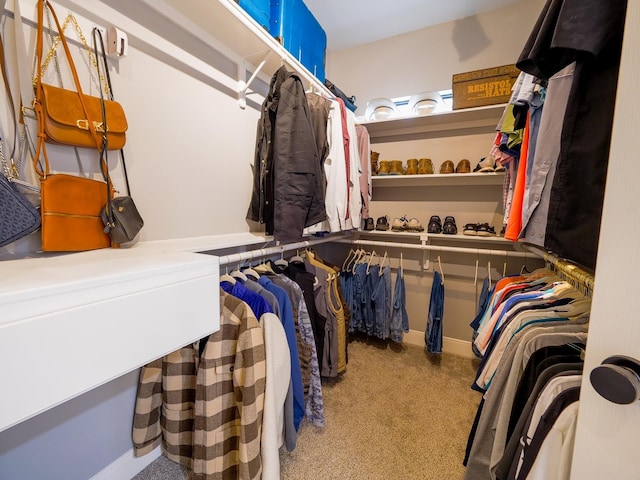 view of walk in closet