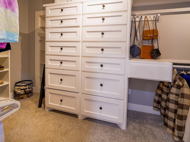 view of closet