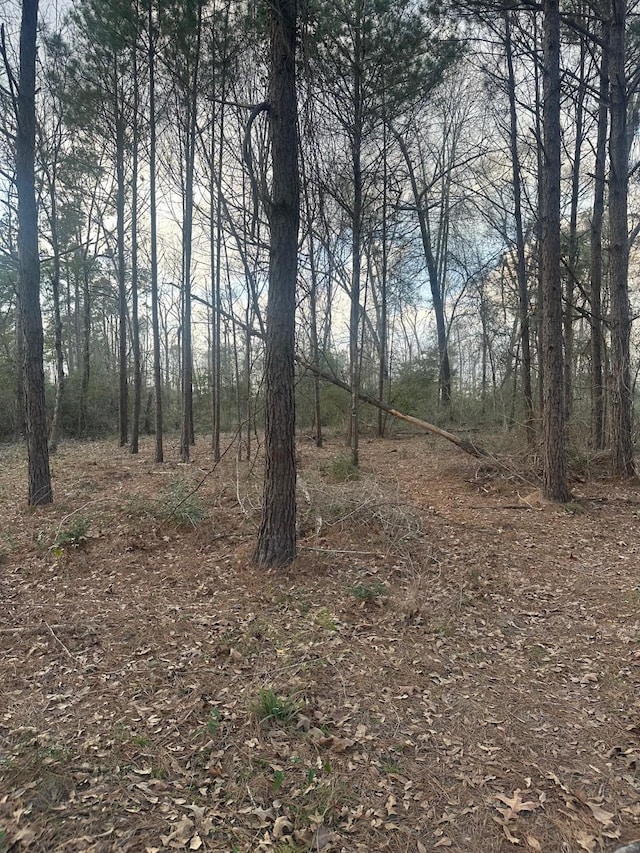 1 Denson Allen Rd, Coldspring TX, 77331 land for sale