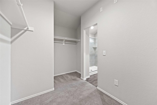 walk in closet with dark carpet