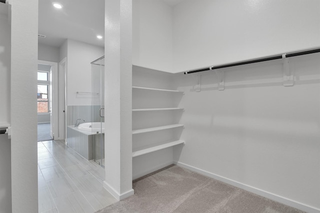 2920 Apple Rose, Katy, TX 77493 - spacious closet featuring carpet