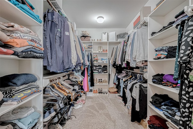 walk in closet with carpet flooring