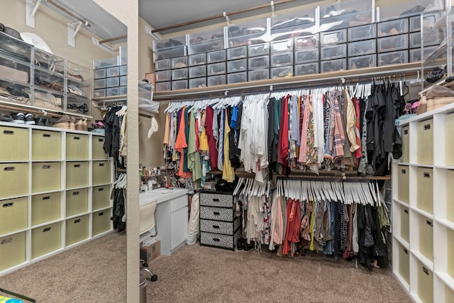 spacious closet with carpet