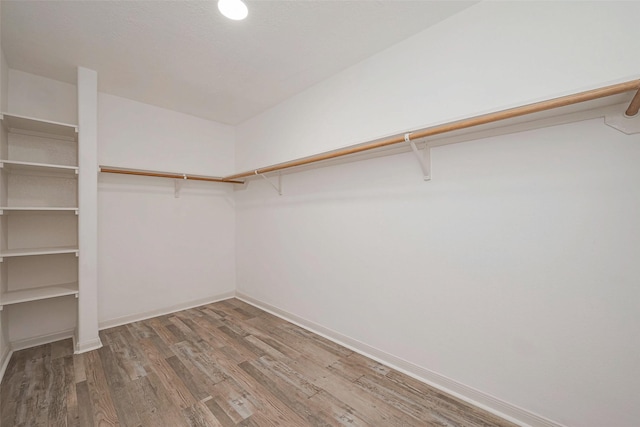 walk in closet with wood finished floors