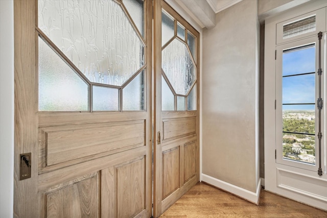 interior details with baseboards and wood finished floors