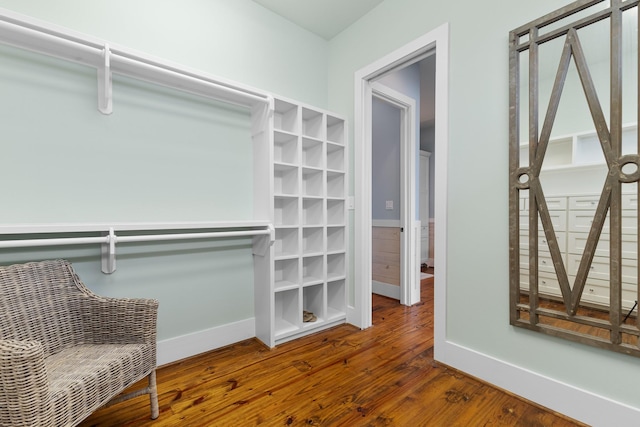 walk in closet with wood finished floors