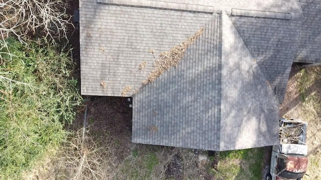 details with roof with shingles