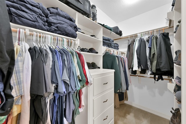 spacious closet featuring light carpet