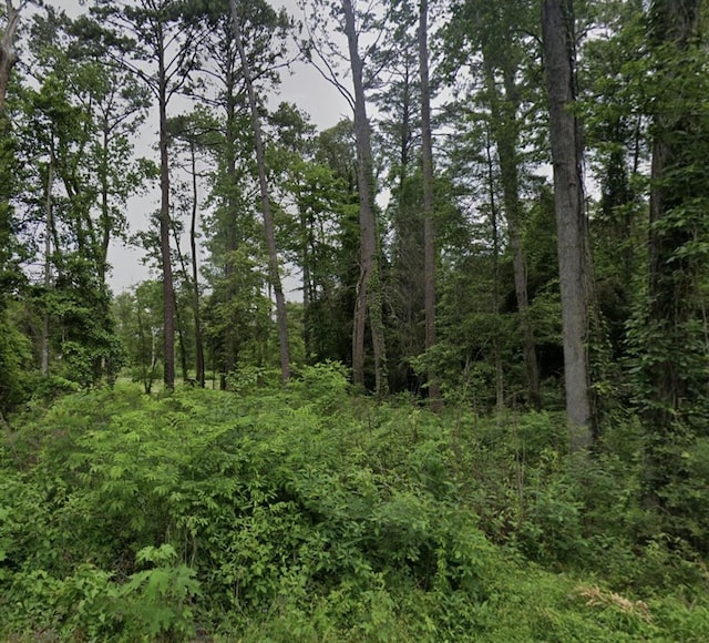 Lot7 White Oak, Burkeville TX, 75932 land for sale