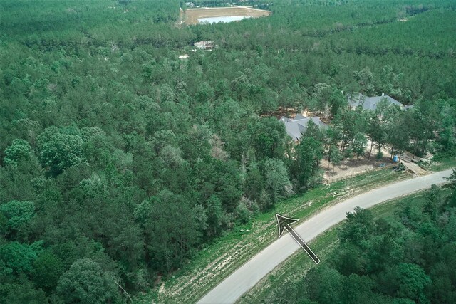 15816 Wooded Trail Way, Willis, TX 77378